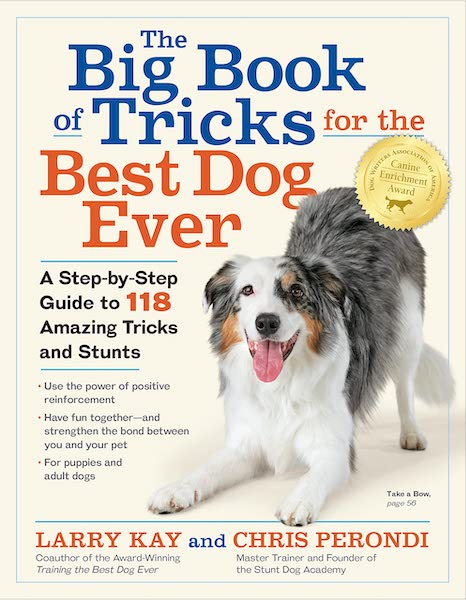 The Big Book of Tricks for the Best Dog Ever book cover