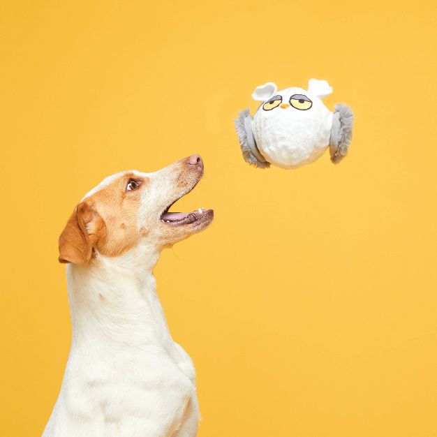 dog catching owl dog toy