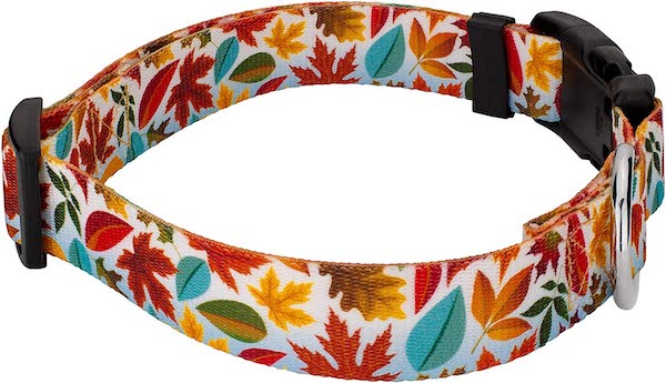 fall dog collar with leaves