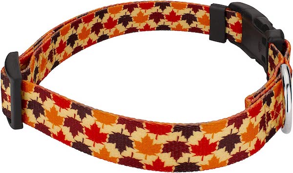 fall dog collar with leaves