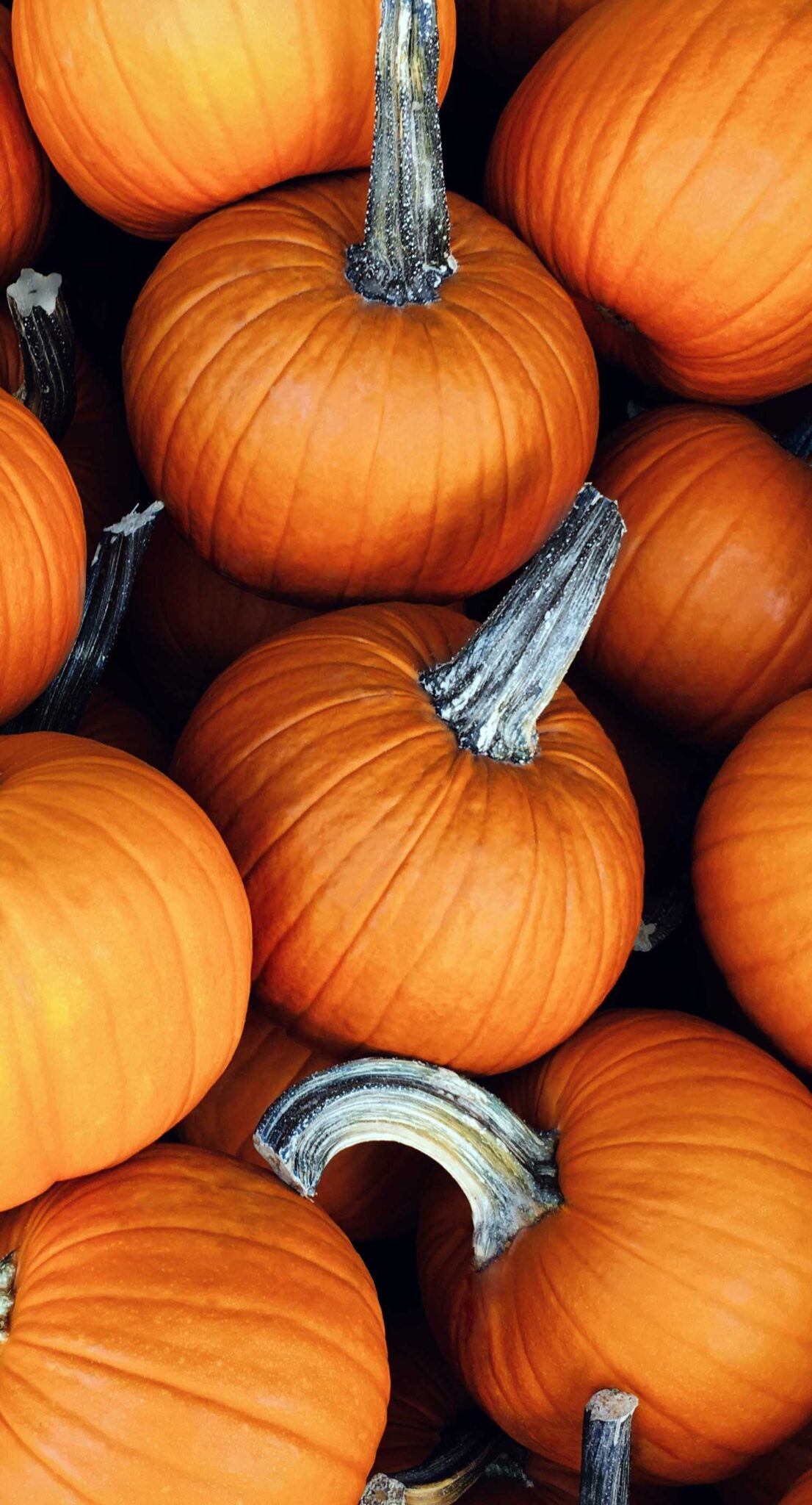 10 Awesome Free Halloween Phone Wallpapers - Stars & Anchor