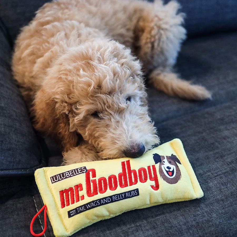 dog playing with candy bar dog toy
