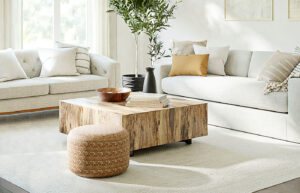 living room with a neutral area rug