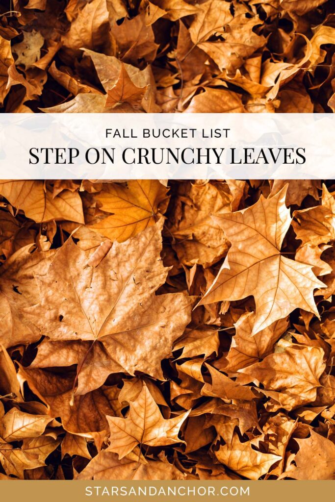 The ground covered in brown leaves, with text that says, "fall bucket list: step on crunchy leaves."