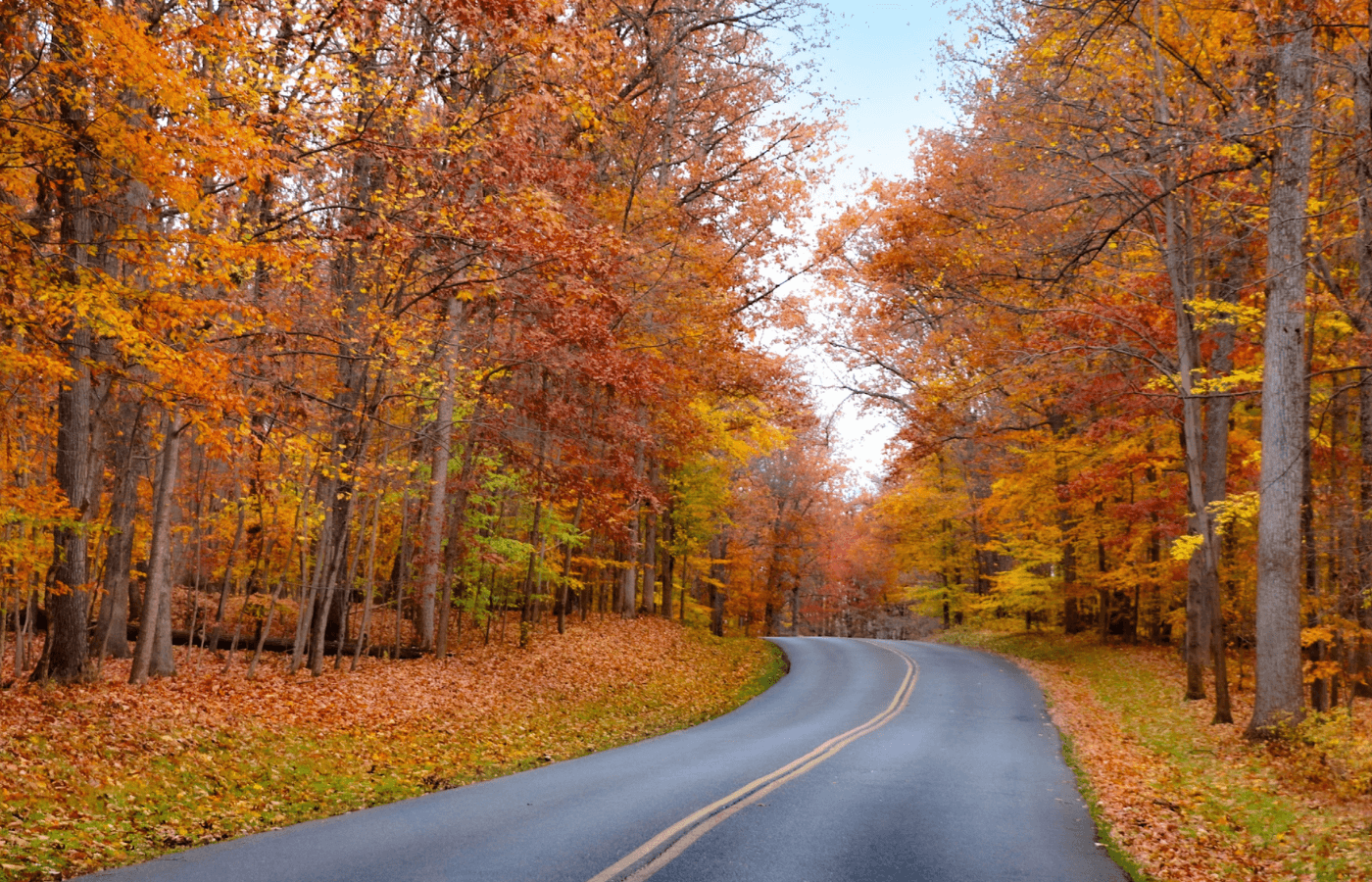 A windy road surrounded by trees with colorful fall leaves.