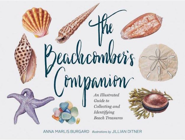 Cover of The Beachcomber's Companion book.