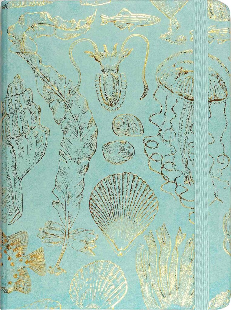 An aqua journal with gold illustrations of shells, seaweed, jellyfish, and fish on it.