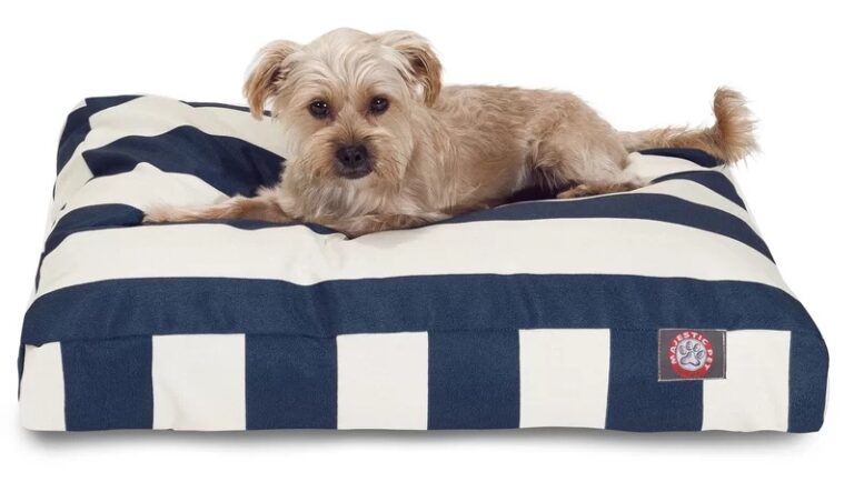 Coastal Dog Beds That Will Look Great in Your Beachy Home - Stars & Anchor