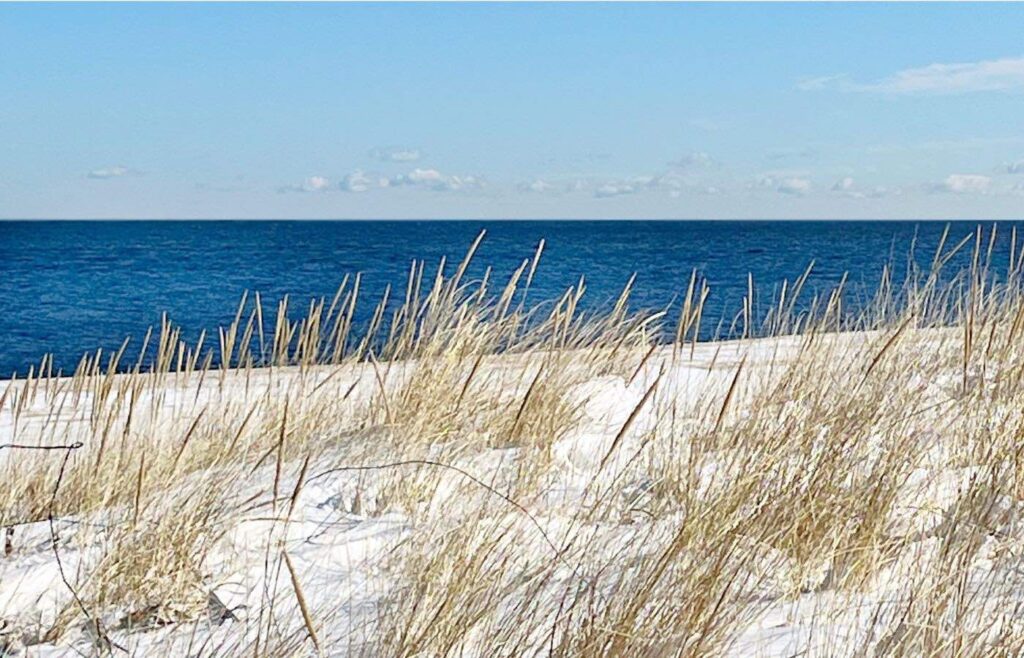The beach and beach grass covered in snow.