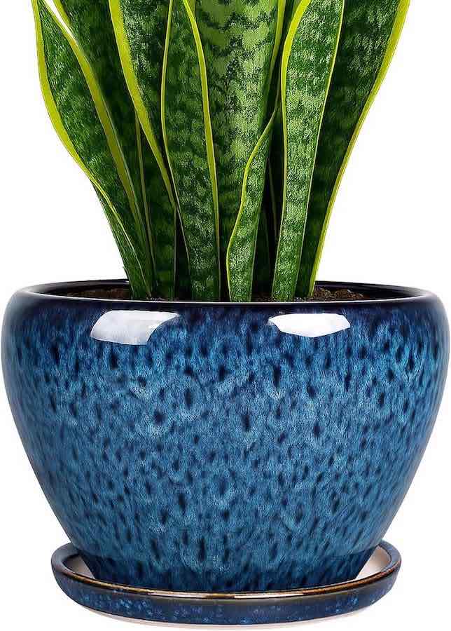 A blue ceramic planter with a saucer.