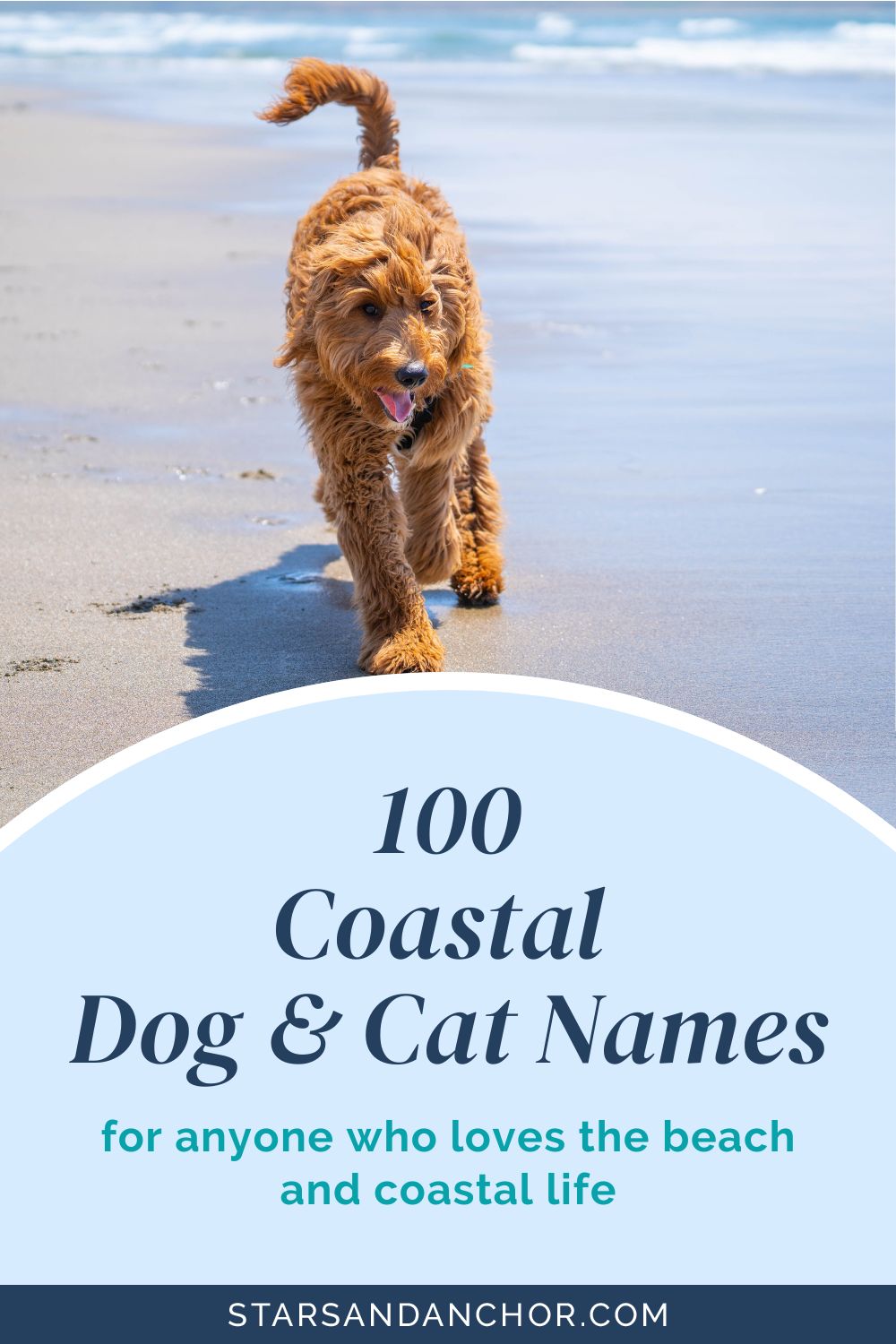 A dog running on the beach, with a text overlay that says, "100 coastal dog and cat names for anyone who loves the beach and coastal life."