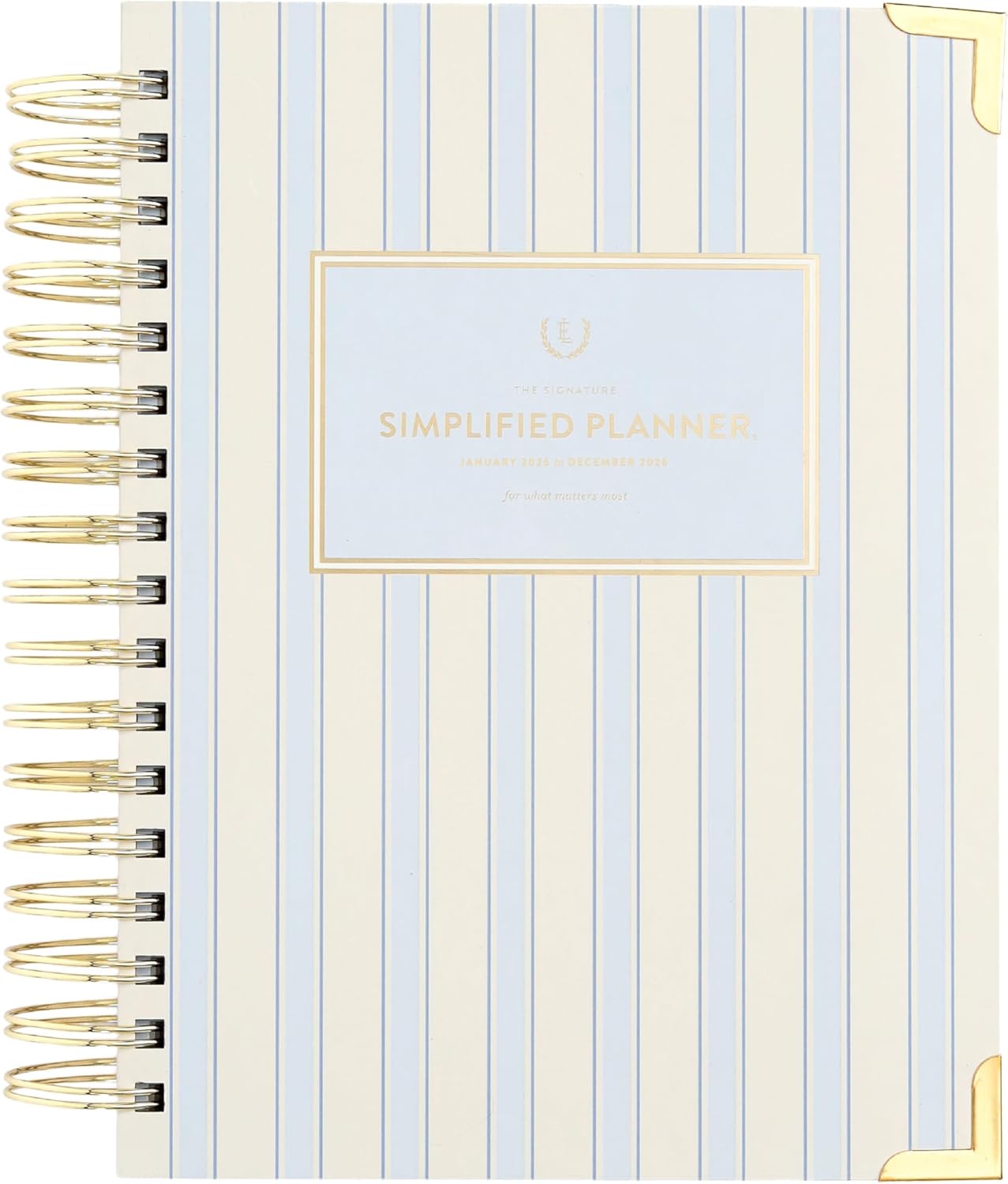 A cream and light blue striped planner.